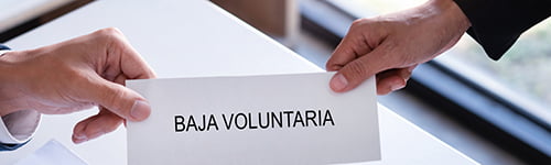 La carta de baja voluntaria y sus requisitos